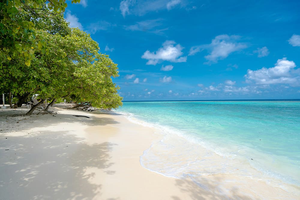 Modern medical facility